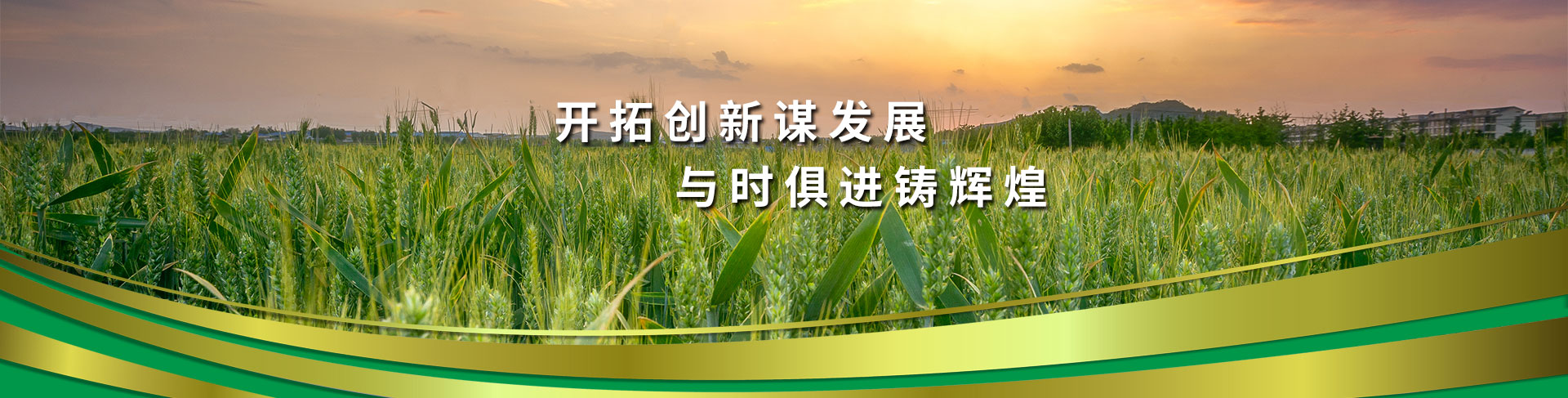 魯豐農業